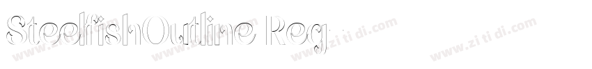 SteelfishOutline Reg字体转换